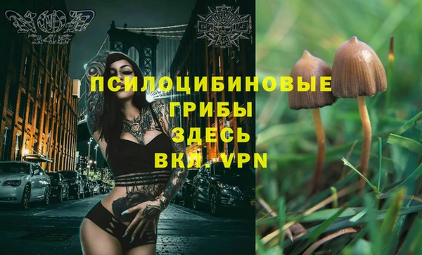 амфетамин Алексеевка
